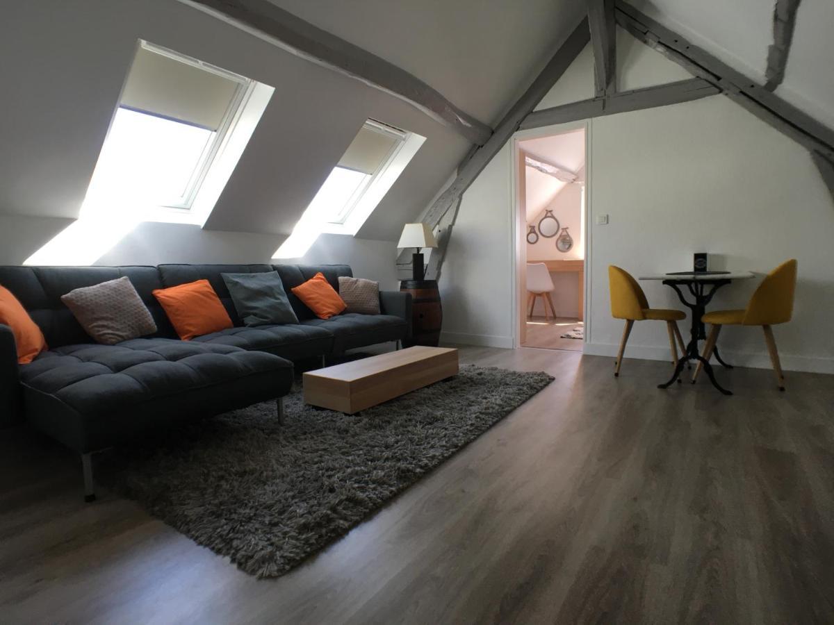 Chartres Coeur De Ville, Beau 2 Pieces Chaleureux Et Lumineux,Parking Et Wifi ! Zewnętrze zdjęcie