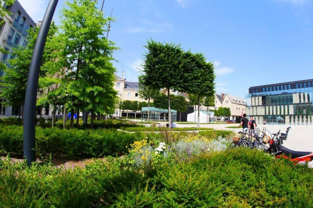 Chartres Coeur De Ville, Beau 2 Pieces Chaleureux Et Lumineux,Parking Et Wifi ! Zewnętrze zdjęcie